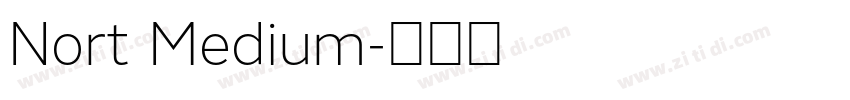 Nort Medium字体转换